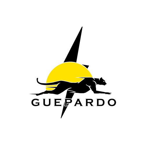 Guepardo-min